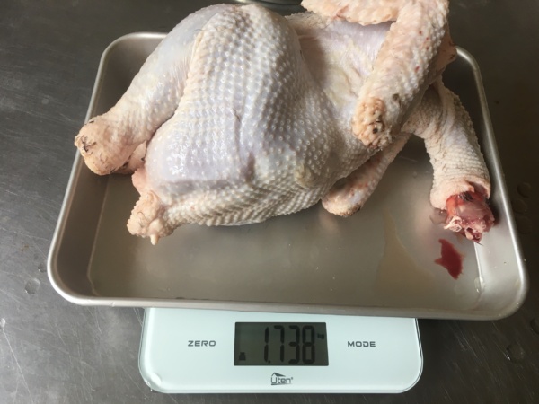 岡崎おうはんの鶏肉（2羽以上）