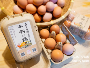 鶏卵 贈答用（24個入り）